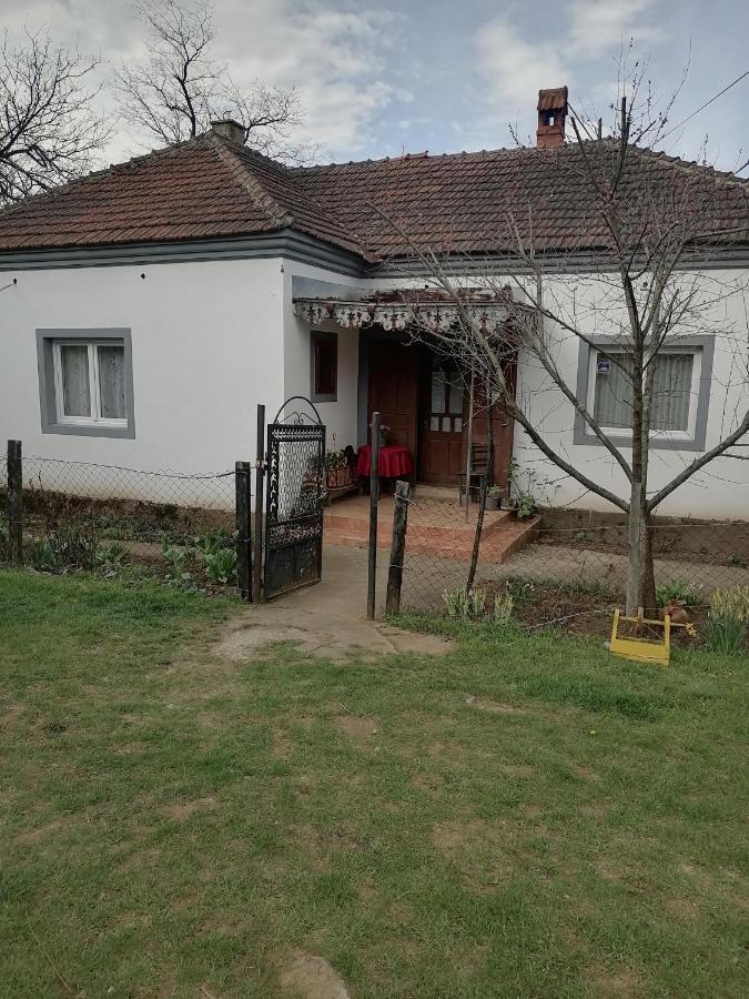 Etno Kuca Badejevic Villa Plavna Kültér fotó