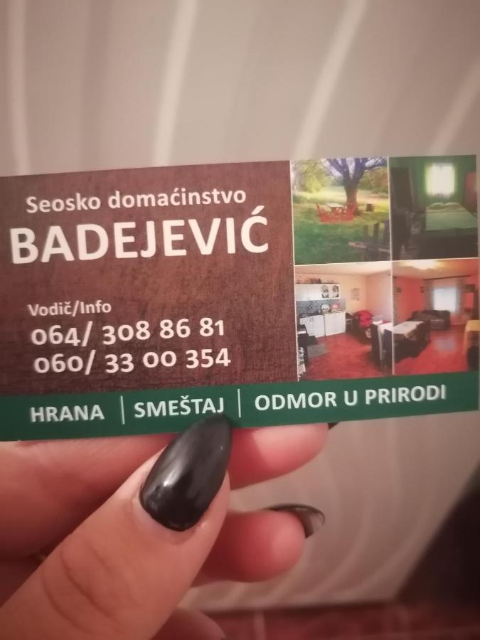 Etno Kuca Badejevic Villa Plavna Kültér fotó