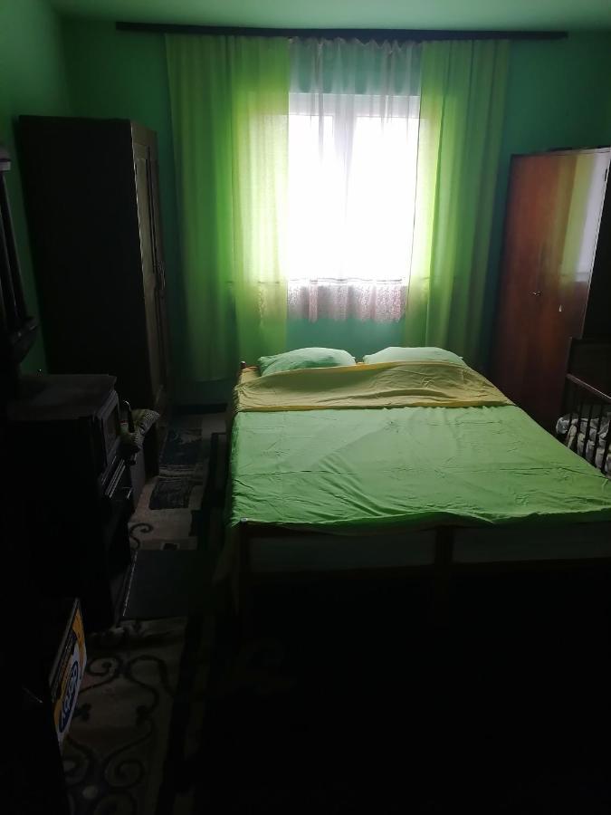 Etno Kuca Badejevic Villa Plavna Kültér fotó