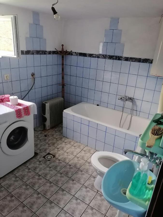 Etno Kuca Badejevic Villa Plavna Kültér fotó