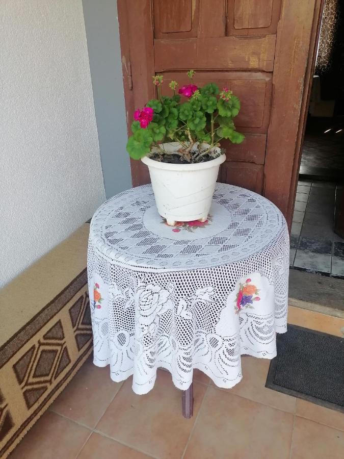 Etno Kuca Badejevic Villa Plavna Kültér fotó