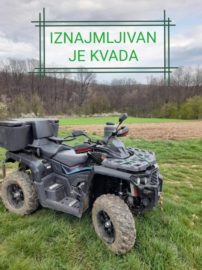 Etno Kuca Badejevic Villa Plavna Kültér fotó